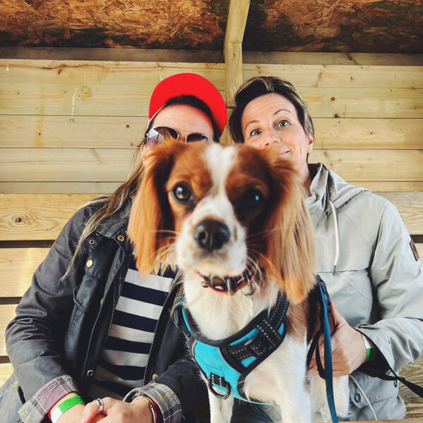 Aimee, Ali and Aoife Aimee, Ali and Aoife